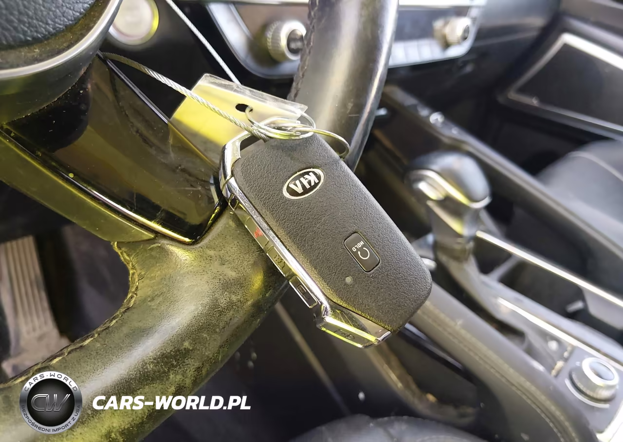 2021 Kia Telluride Ex VIN:5XYP3DHC9MG167839 - 11