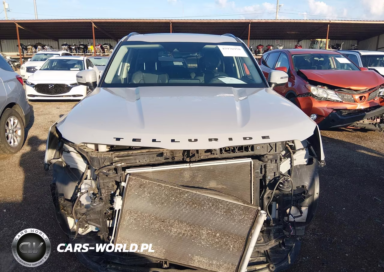 2021 Kia Telluride Ex VIN:5XYP3DHC9MG167839 - 13