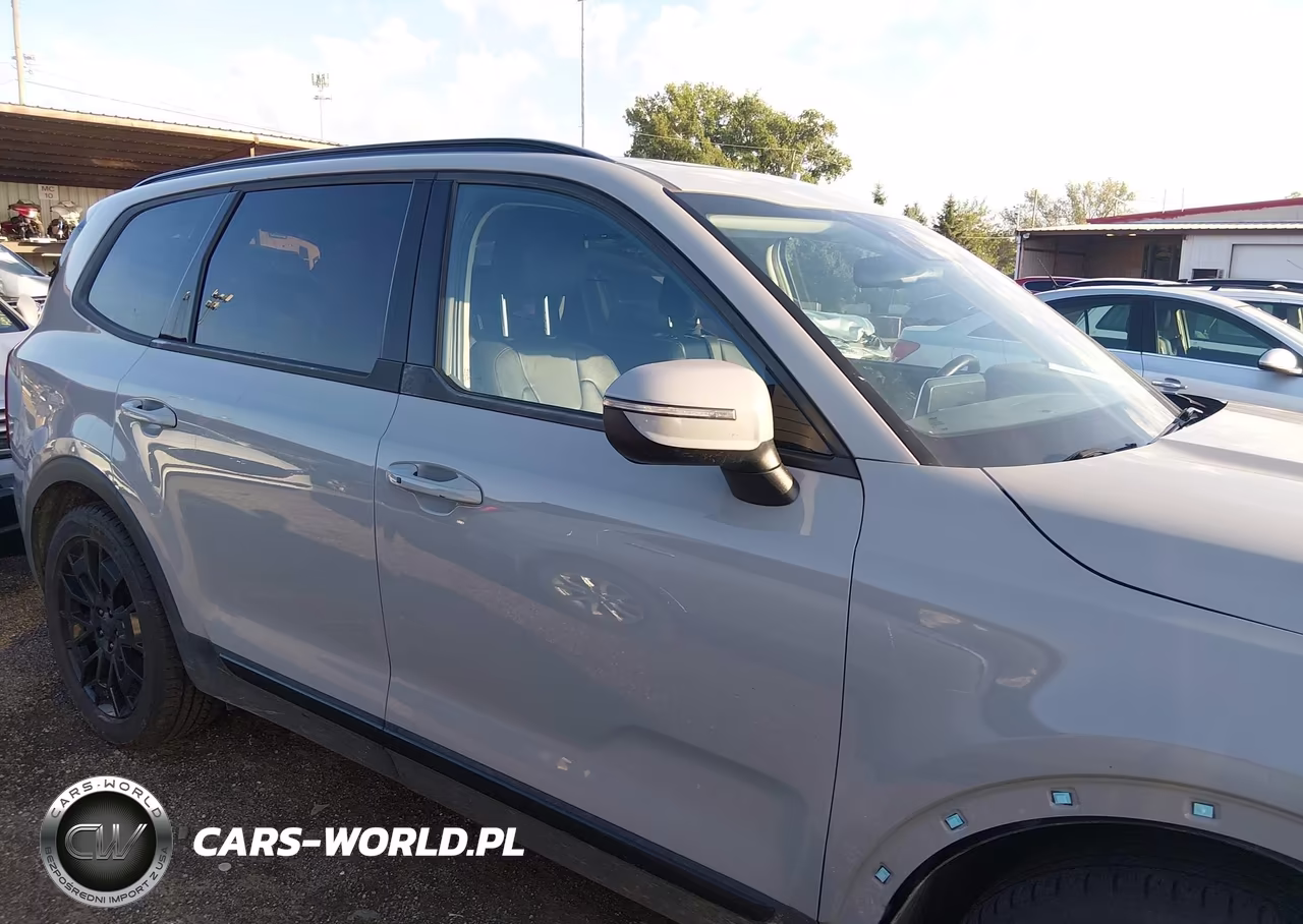 2021 Kia Telluride Ex VIN:5XYP3DHC9MG167839 - 14
