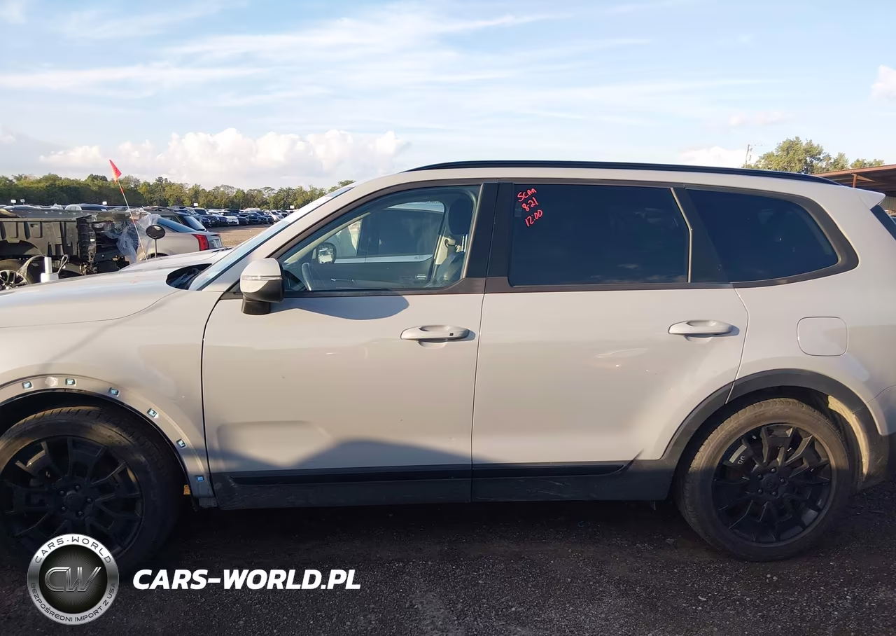 2021 Kia Telluride Ex VIN:5XYP3DHC9MG167839 - 15