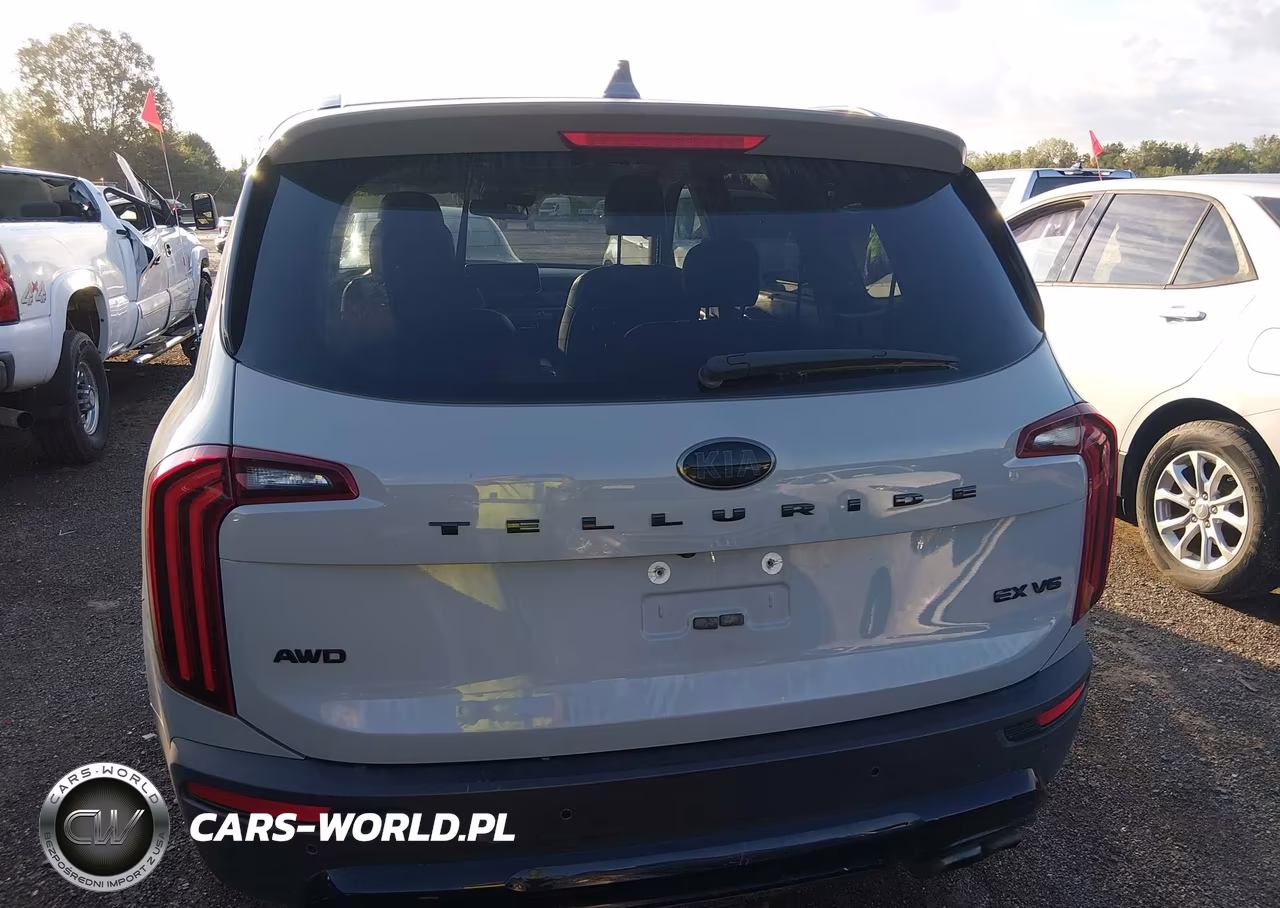 2021 Kia Telluride Ex VIN:5XYP3DHC9MG167839 - 17