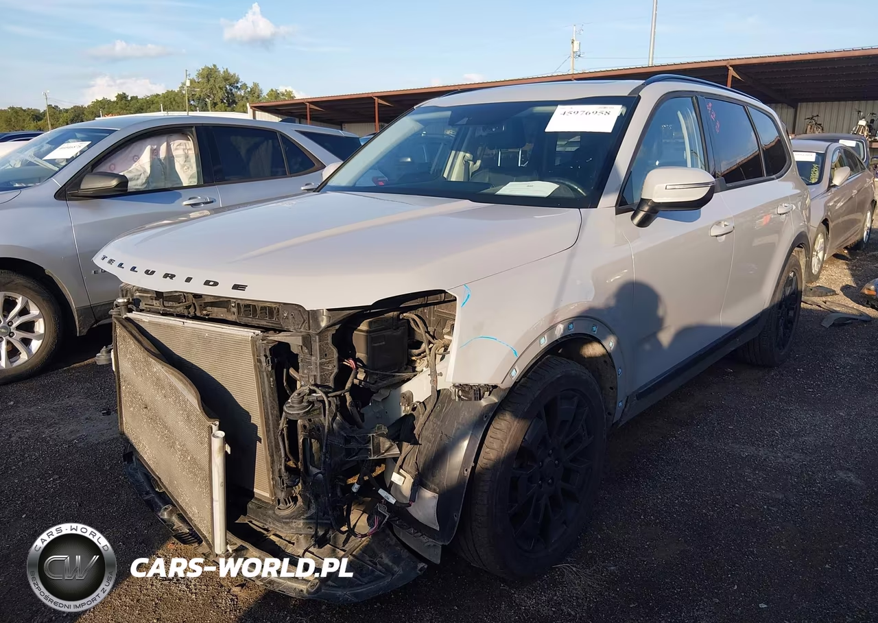 2021 Kia Telluride Ex VIN:5XYP3DHC9MG167839 - 2