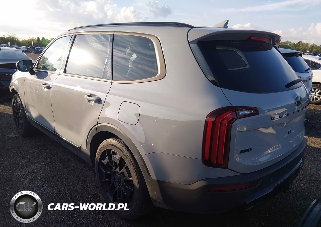 2021 Kia Telluride Ex VIN:5XYP3DHC9MG167839 - 3