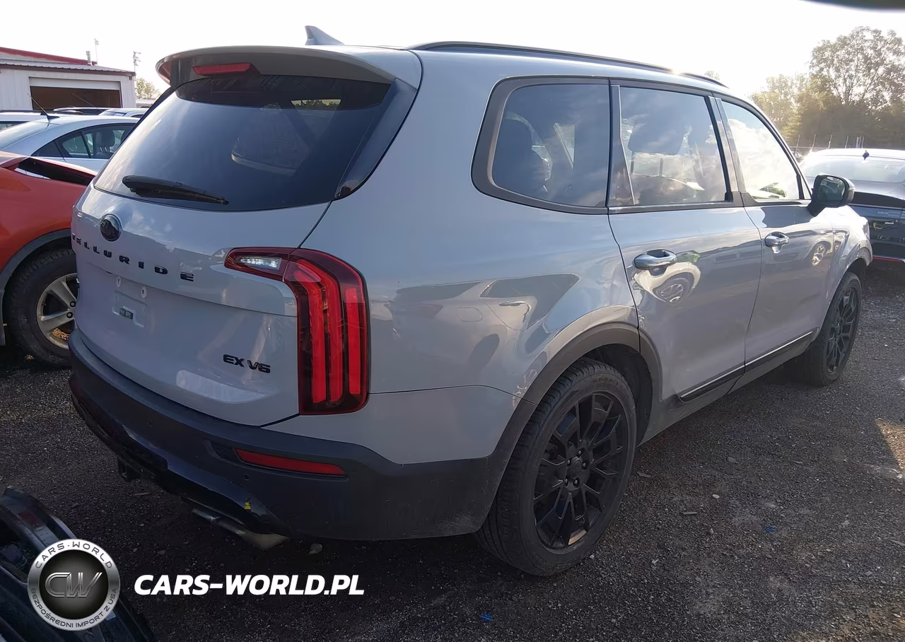 2021 Kia Telluride Ex VIN:5XYP3DHC9MG167839 - 4