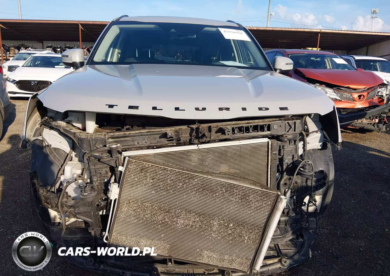 2021 Kia Telluride Ex VIN:5XYP3DHC9MG167839 - 6