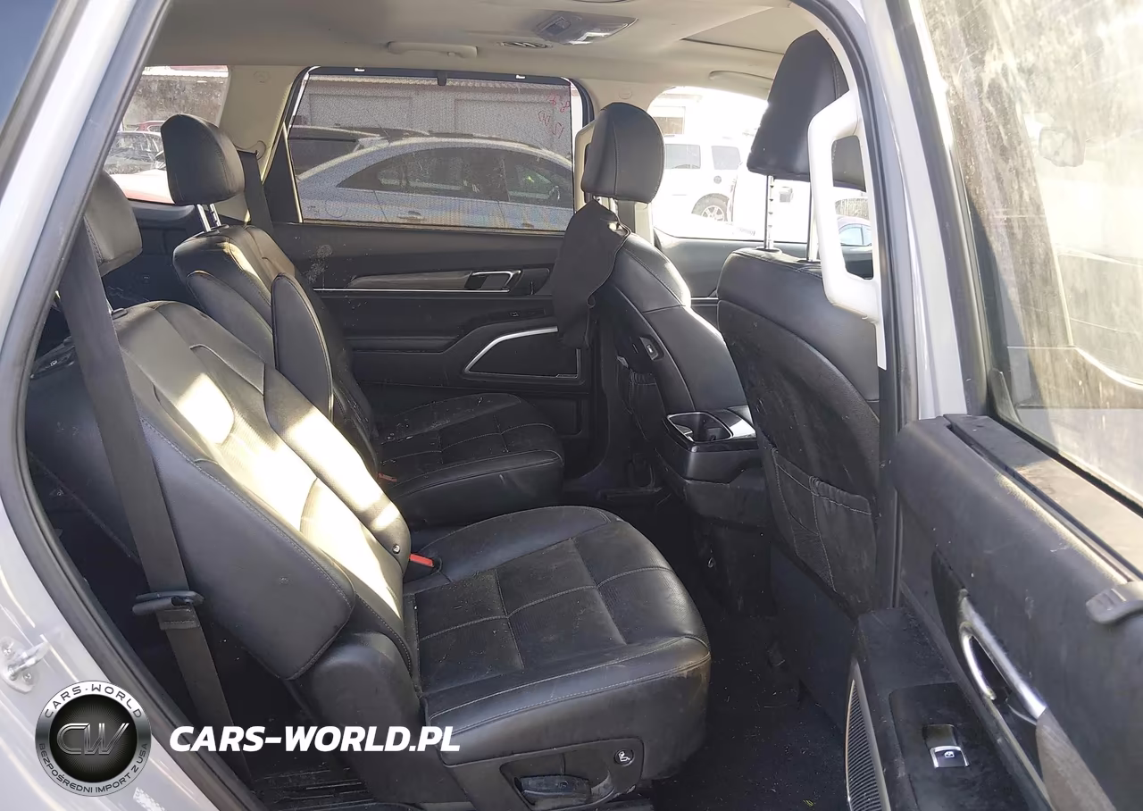 2021 Kia Telluride Ex VIN:5XYP3DHC9MG167839 - 8