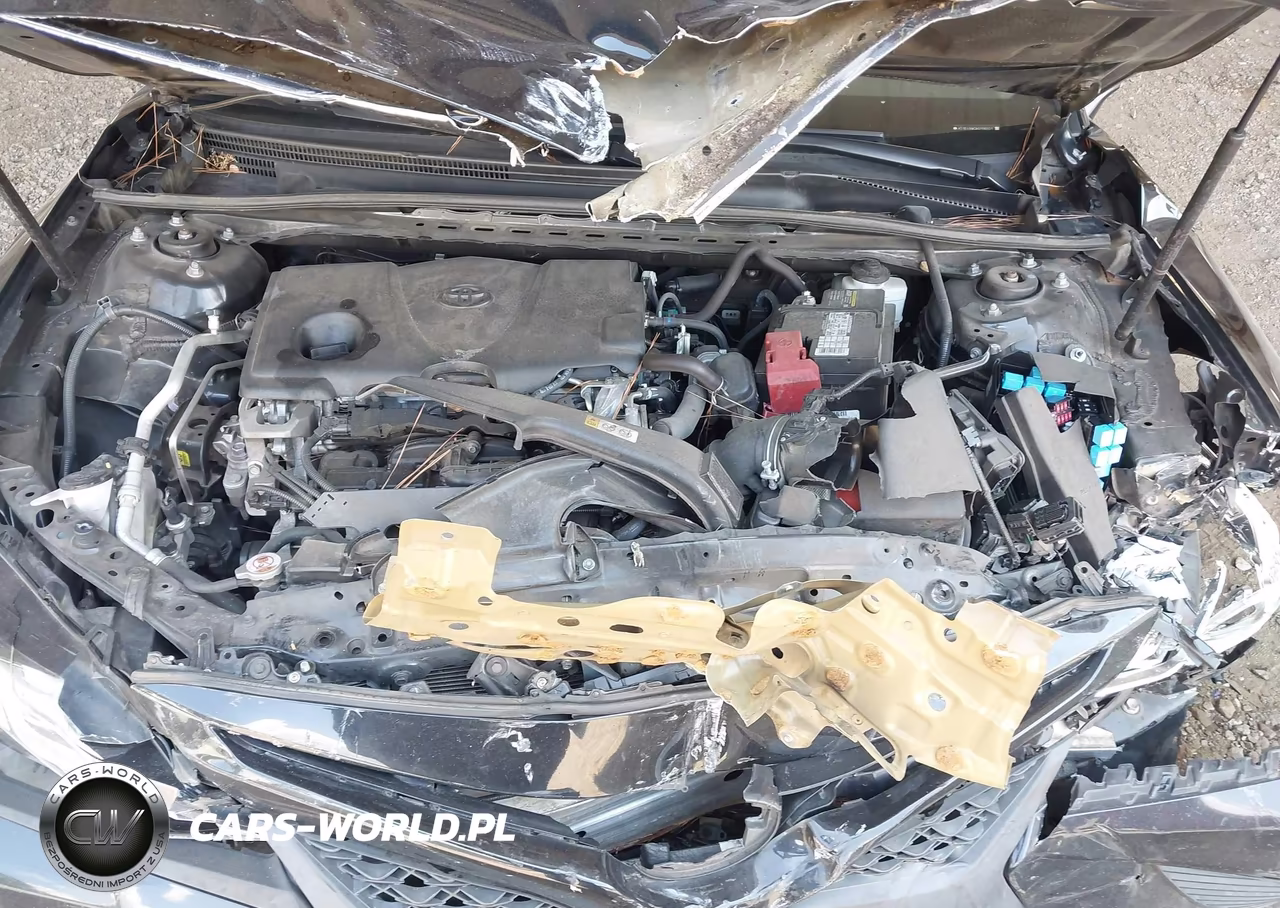 2019 Toyota Camry Se VIN:4T1B11HK2KU196001 - 10