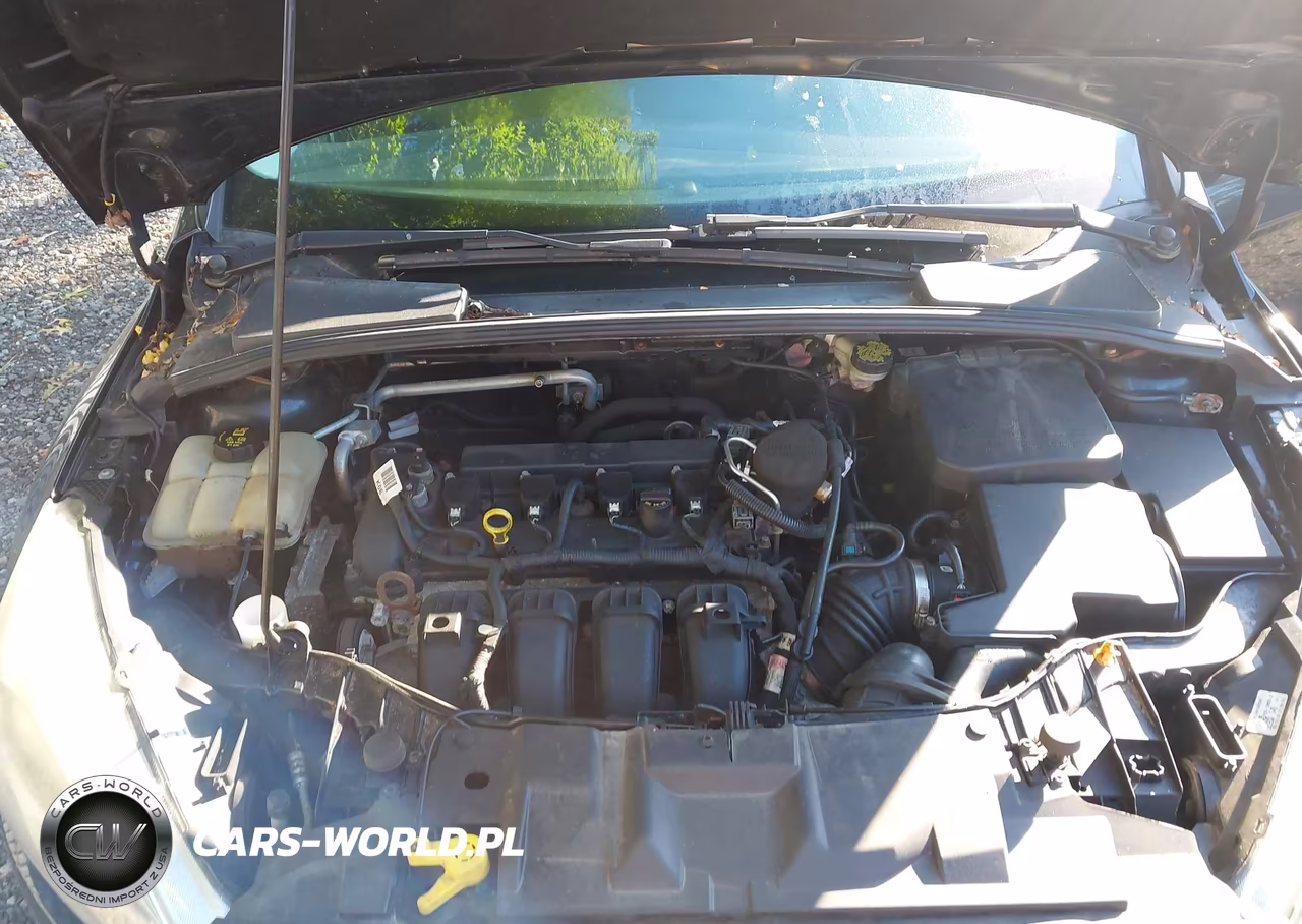 2015 Ford Focus Se VIN:1FADP3F23FL242494 - 10