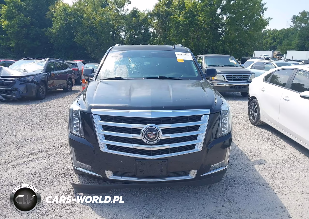 2015 Cadillac Escalade Premium VIN:1GYS4CKJ1FR160102 - 12