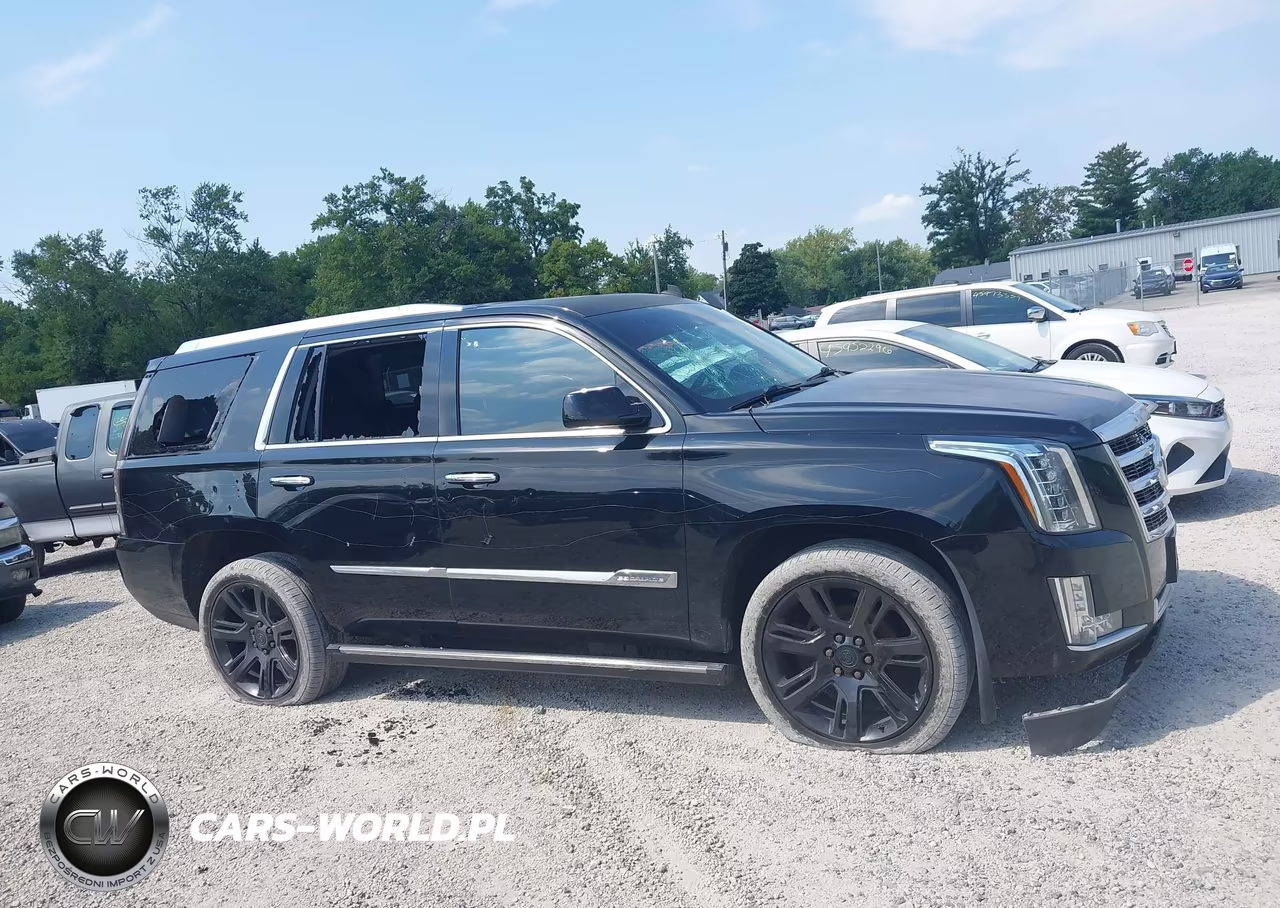 2015 Cadillac Escalade Premium VIN:1GYS4CKJ1FR160102 - 13