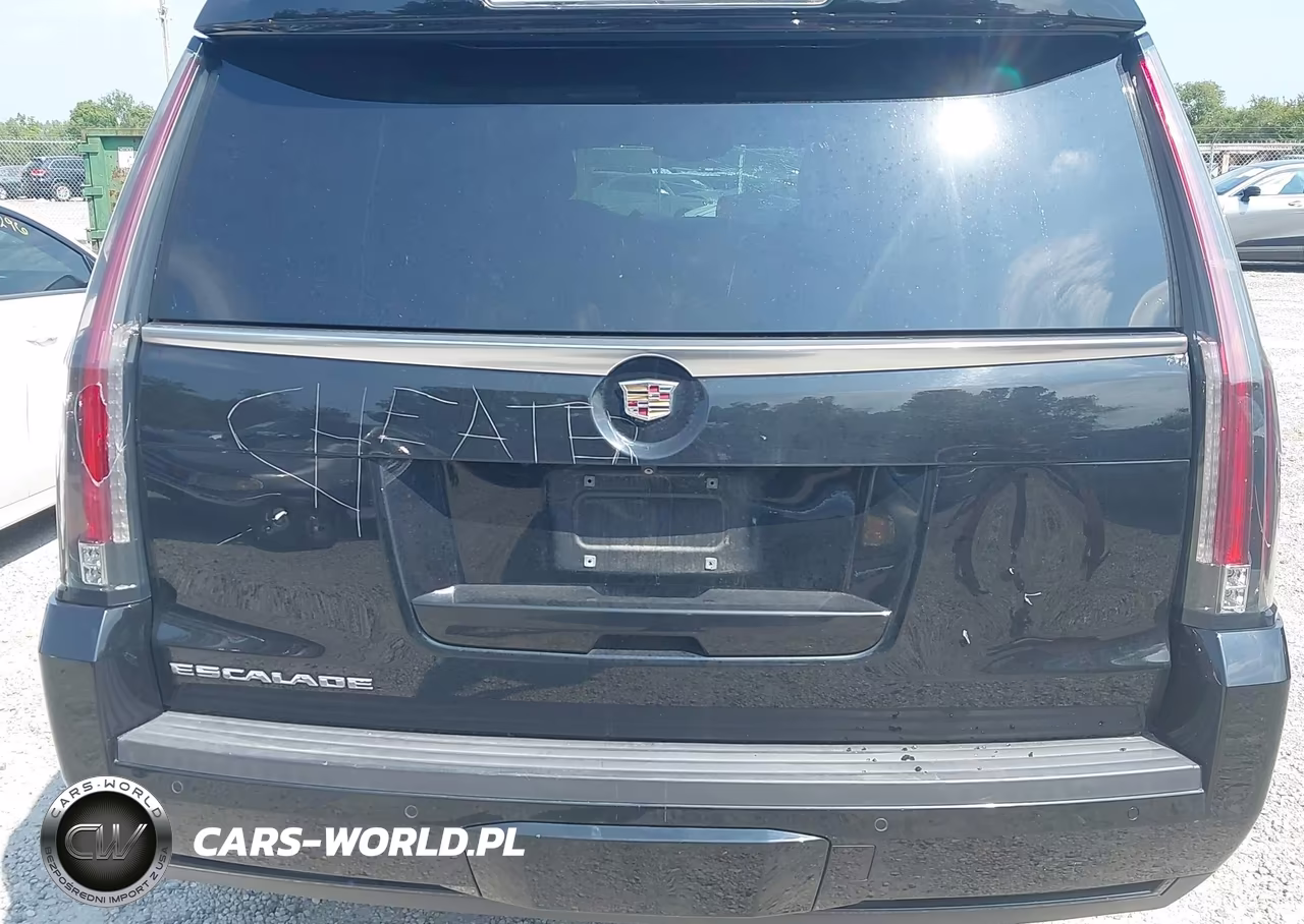 2015 Cadillac Escalade Premium VIN:1GYS4CKJ1FR160102 - 19