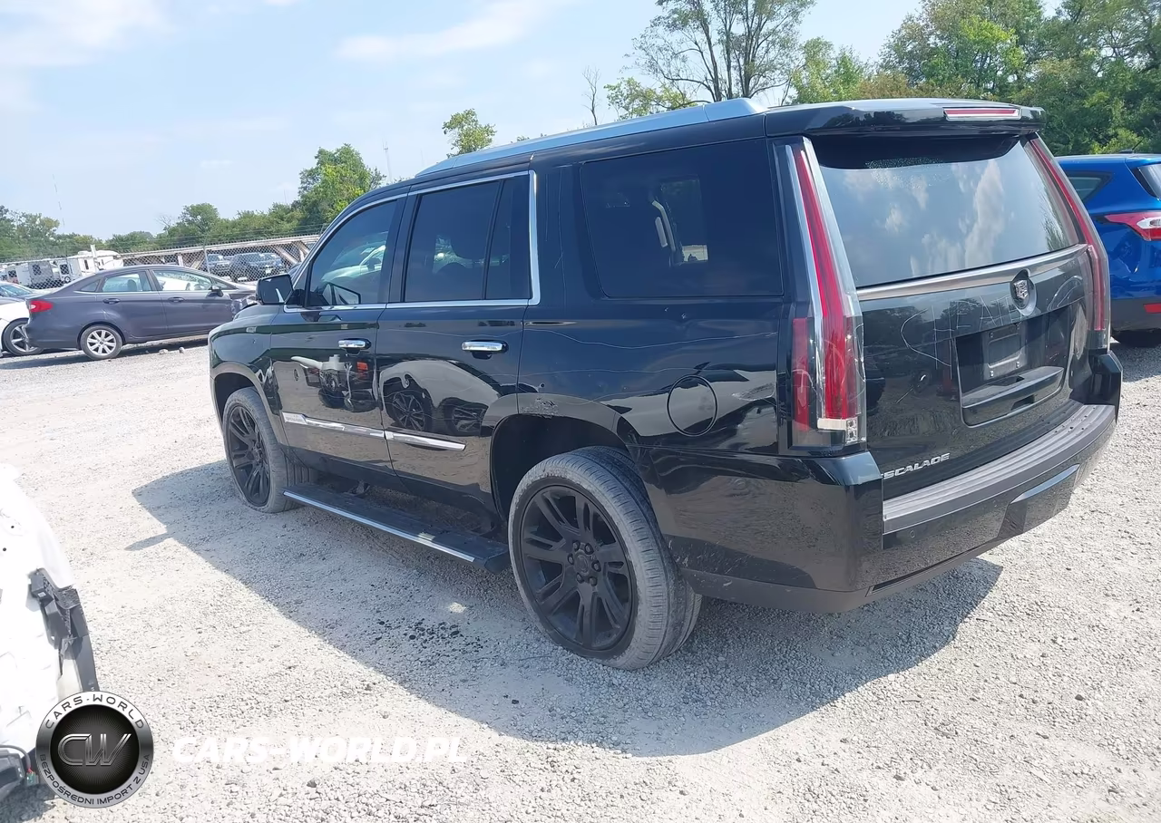 2015 Cadillac Escalade Premium VIN:1GYS4CKJ1FR160102 - 3