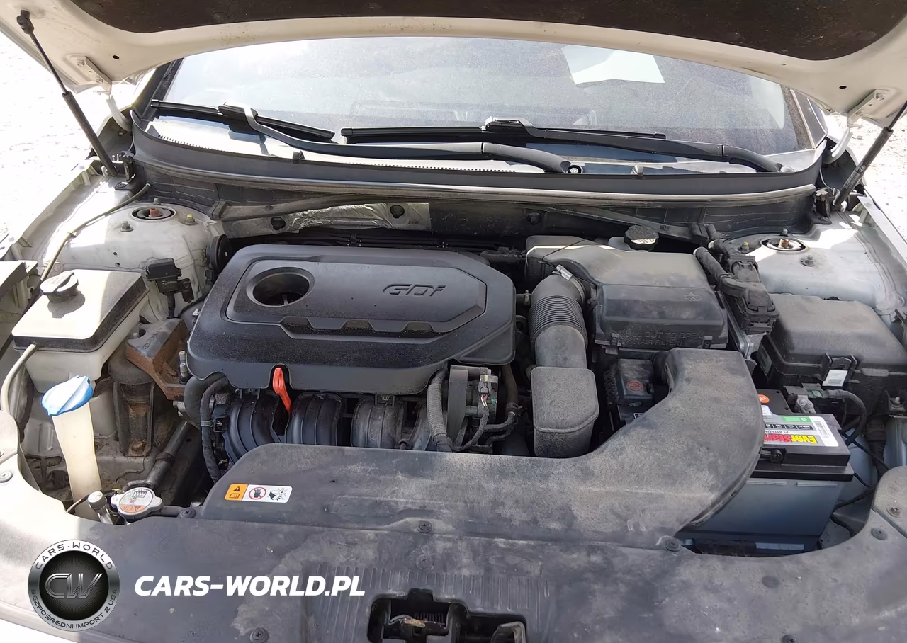 2016 Hyundai Sonata Se VIN:5NPE24AFXGH272949 - 10