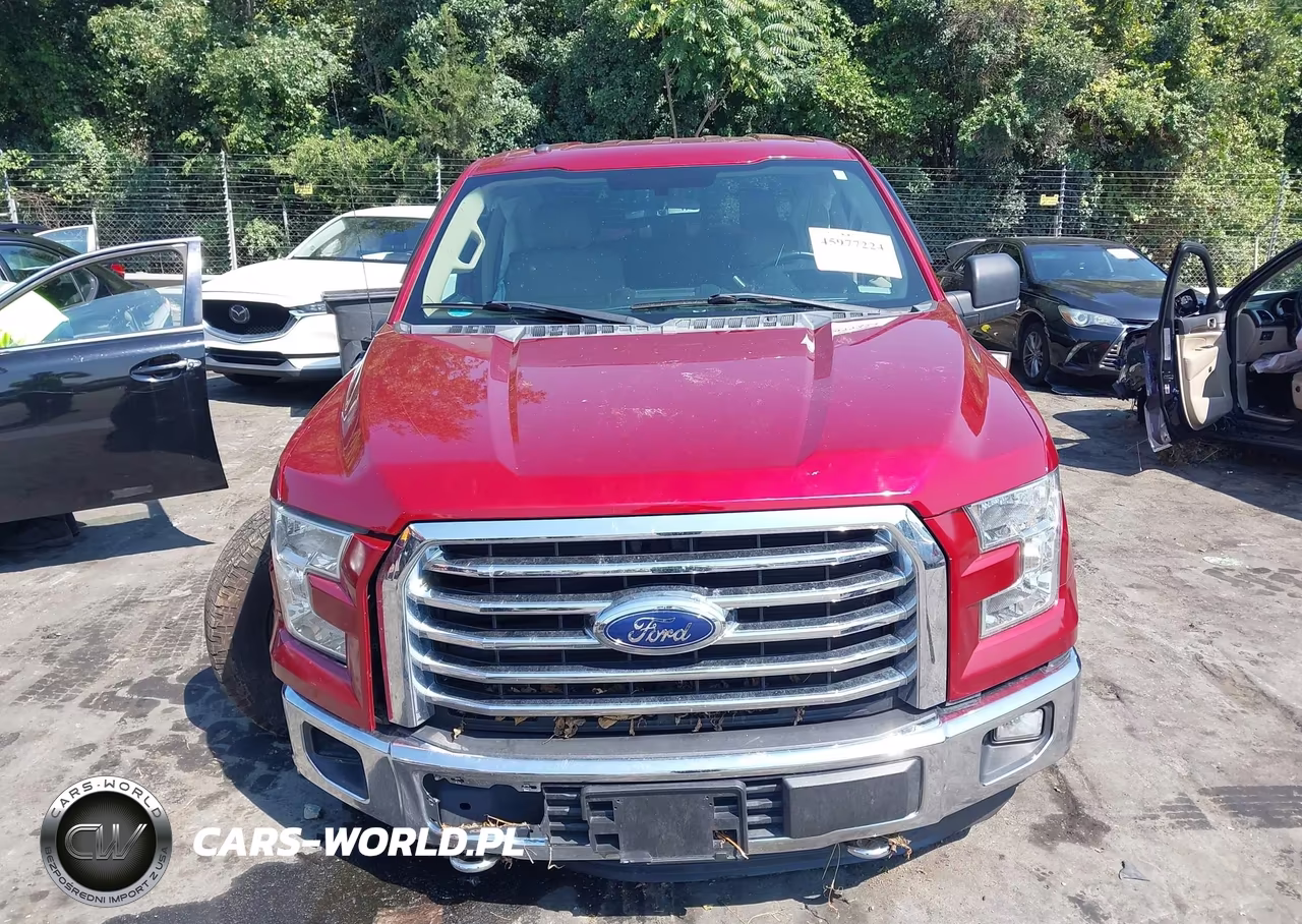 2016 Ford F-150 Xlt VIN:1FTEW1EF7GFB19999 - 12