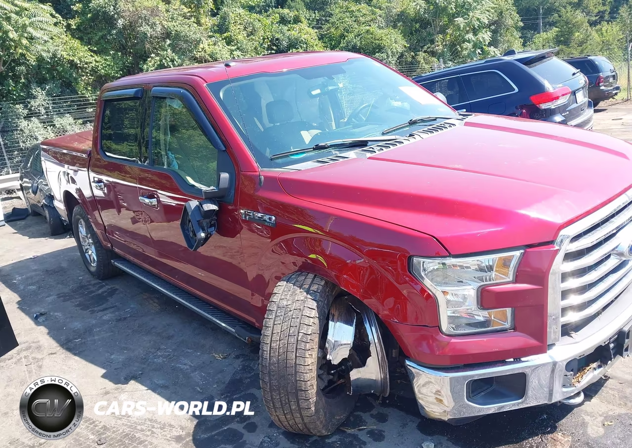 2016 Ford F-150 Xlt VIN:1FTEW1EF7GFB19999 - 13