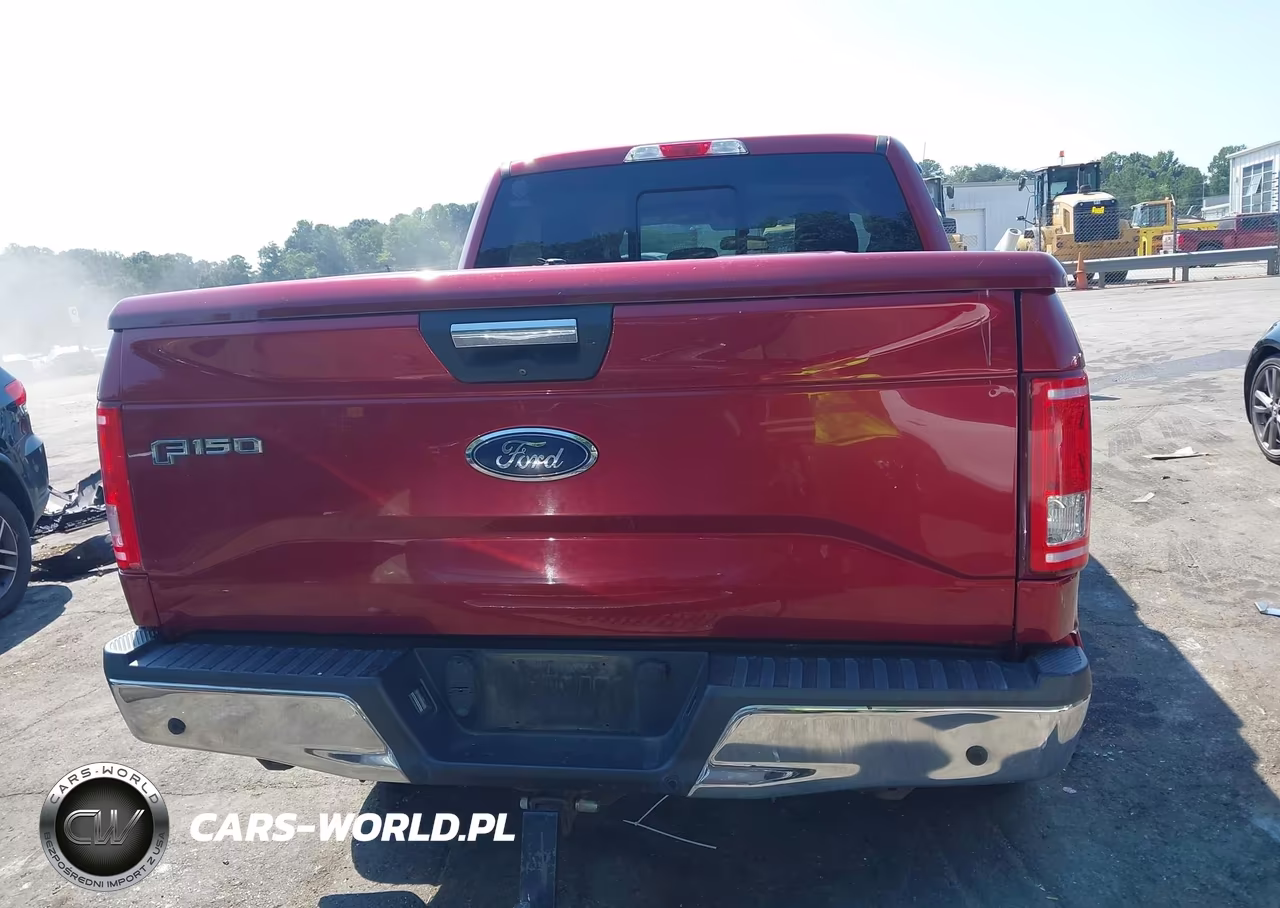 2016 Ford F-150 Xlt VIN:1FTEW1EF7GFB19999 - 16