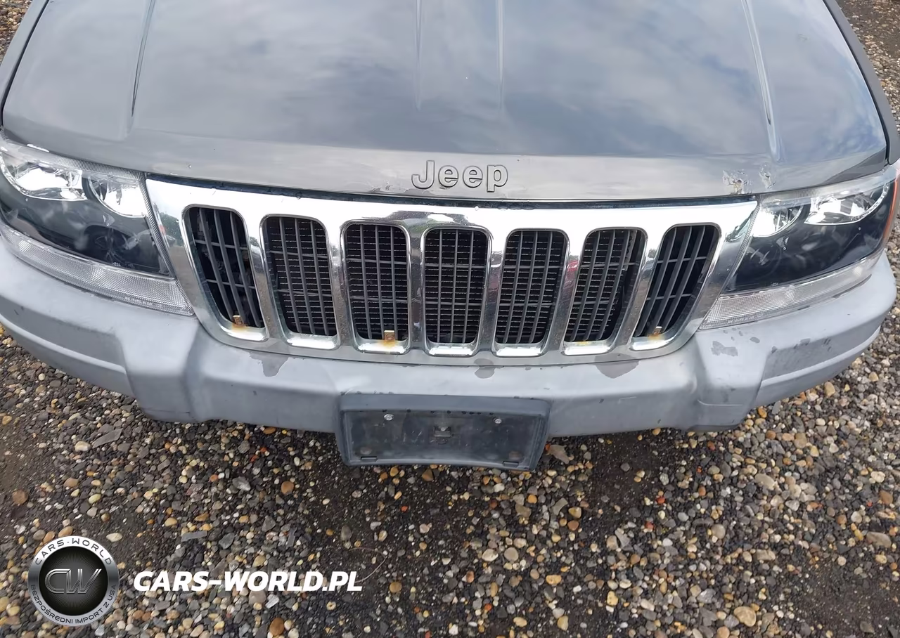 2002 Jeep Grand Cherokee Laredo VIN:1J4GW48S12C124073 - 6