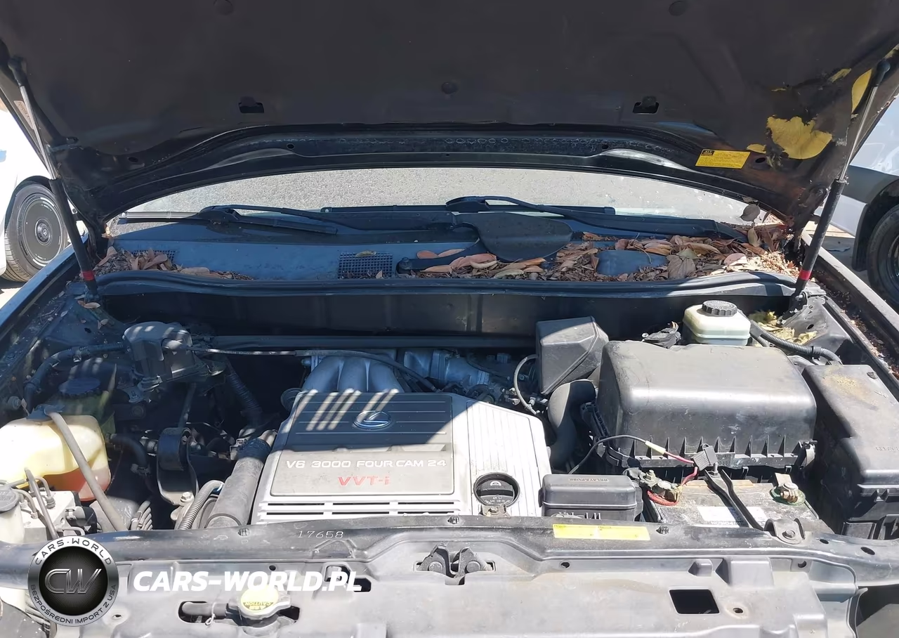 2002 Lexus Rx 300 VIN:JTJGF10U920129201 - 10