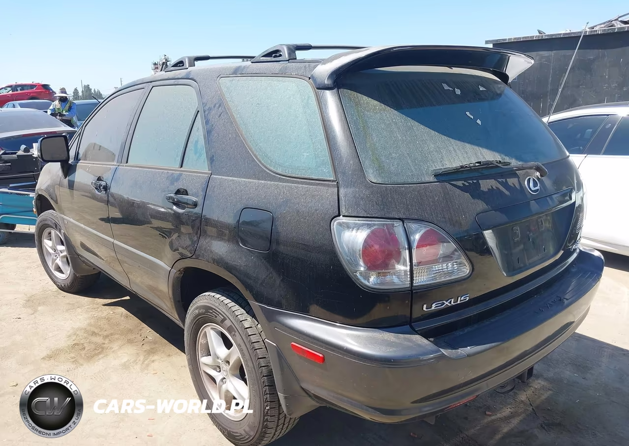 2002 Lexus Rx 300 VIN:JTJGF10U920129201 - 3
