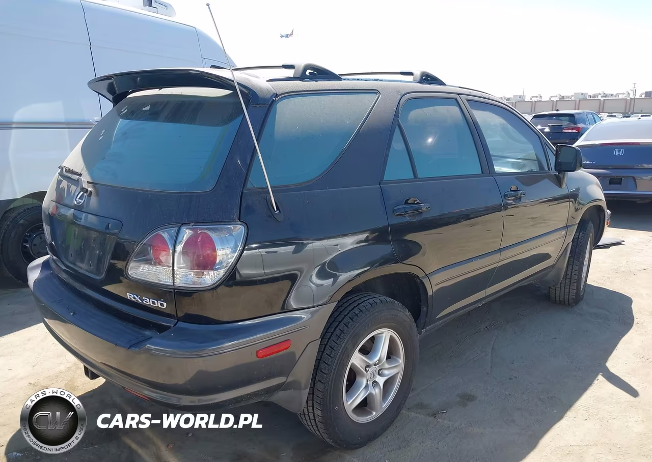2002 Lexus Rx 300 VIN:JTJGF10U920129201 - 4