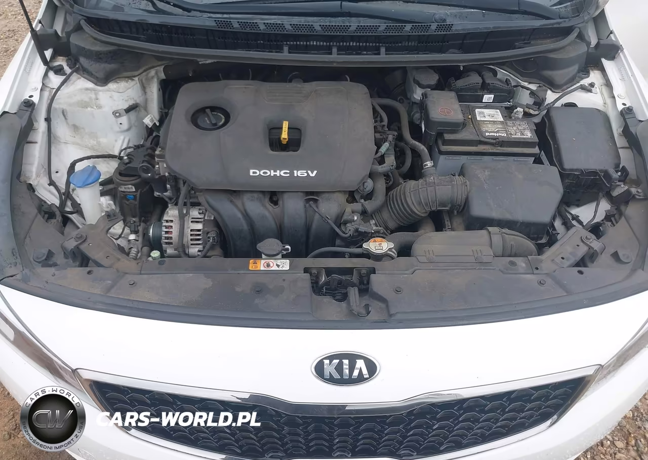 2017 Kia Forte Lx VIN:3KPFK4A78HE010253 - 10