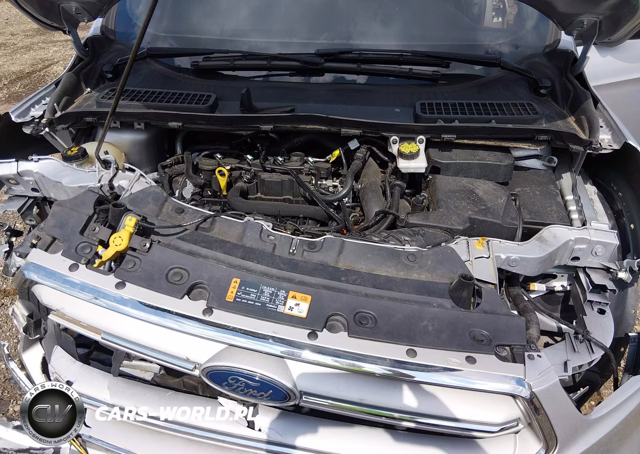 2019 Ford Escape Sel VIN:1FMCU9HD8KUA03118 - 10