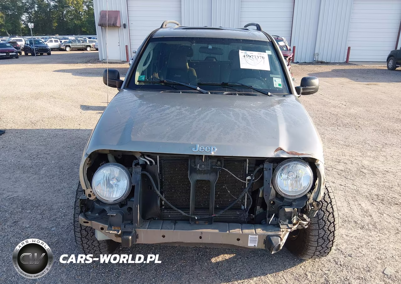 JEEP LIBERTY RE VIN:1J4GL38K15W638835 - 13