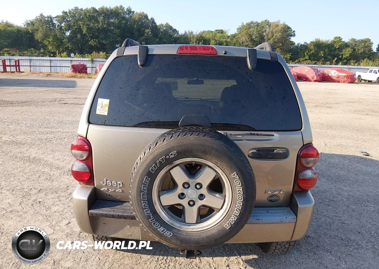 JEEP LIBERTY RE VIN:1J4GL38K15W638835 - 17