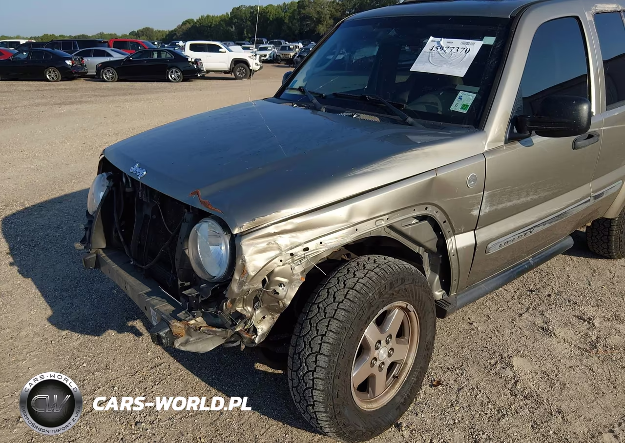 JEEP LIBERTY RE VIN:1J4GL38K15W638835 - 6