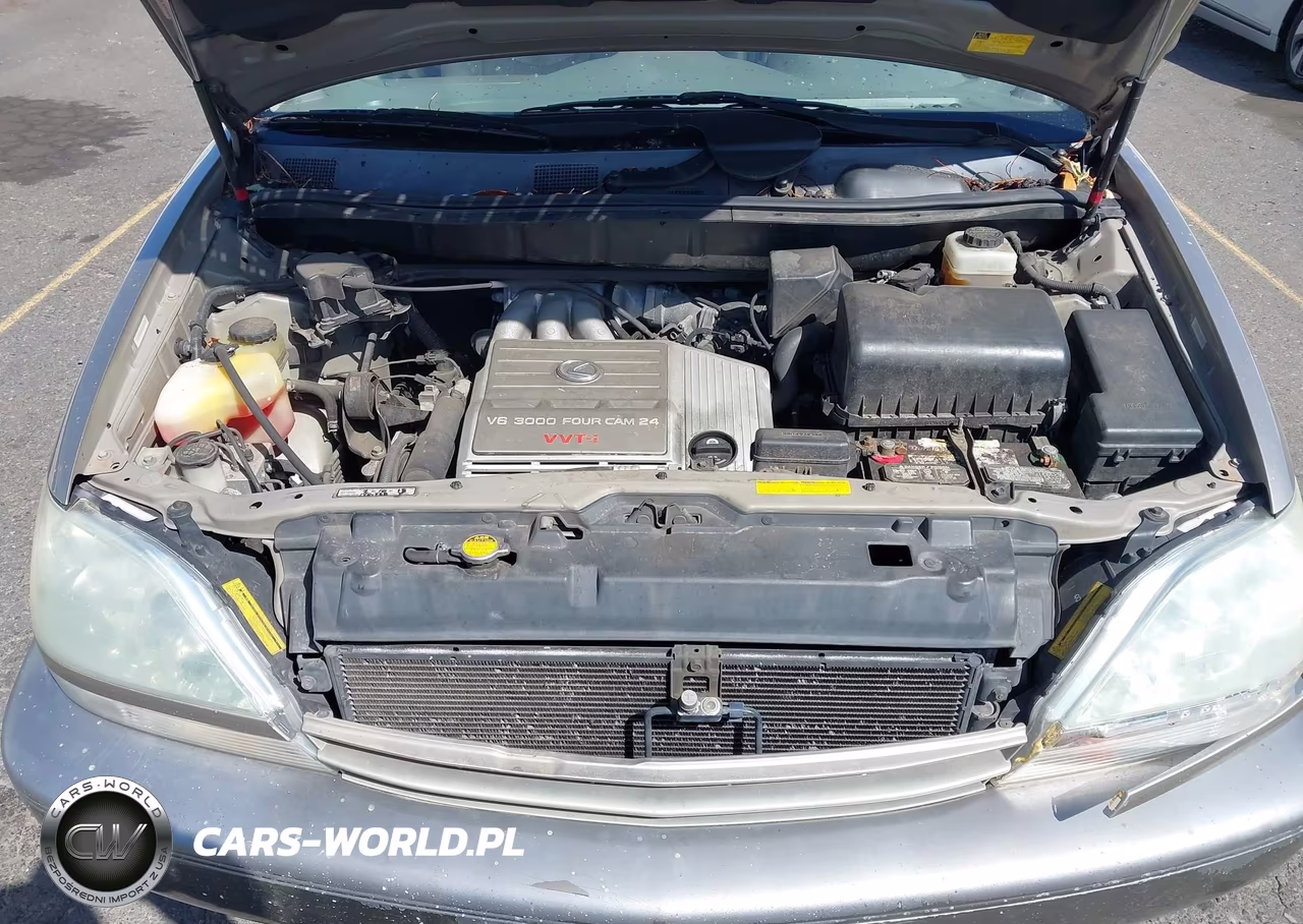 2001 Lexus Rx 300 VIN:JTJHF10U910214378 - 10