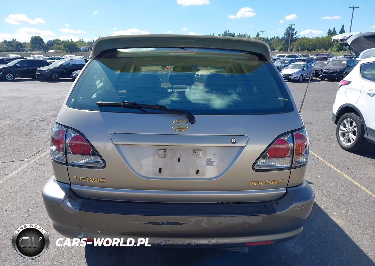 2001 Lexus Rx 300 VIN:JTJHF10U910214378 - 16