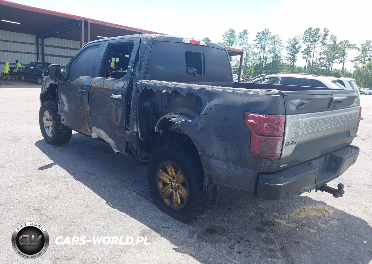 2019 Ford F-150 King Ranch VIN:1FTFW1E1XKFD10043 - 3