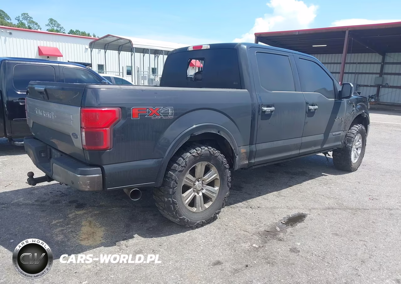 2019 Ford F-150 King Ranch VIN:1FTFW1E1XKFD10043 - 4