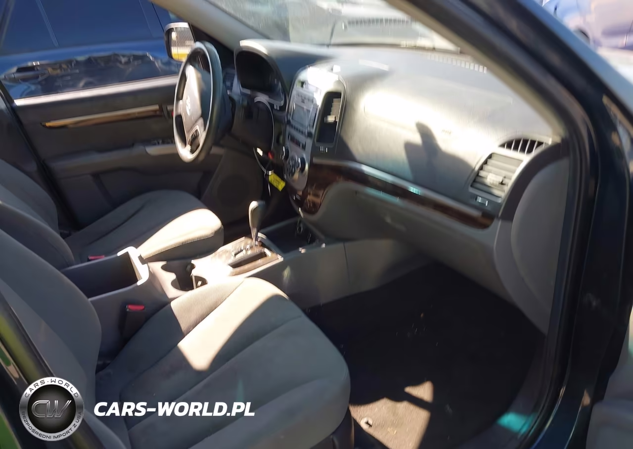 2010 Hyundai Santa Fe Gls VIN:5NMSGDAB8AH377558 - 5