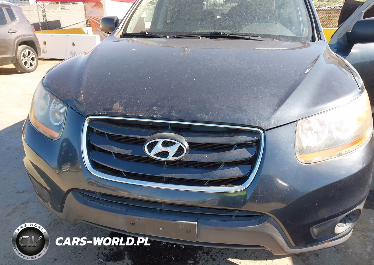 2010 Hyundai Santa Fe Gls VIN:5NMSGDAB8AH377558 - 6