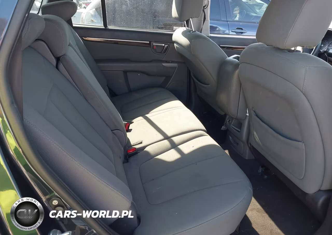2010 Hyundai Santa Fe Gls VIN:5NMSGDAB8AH377558 - 8