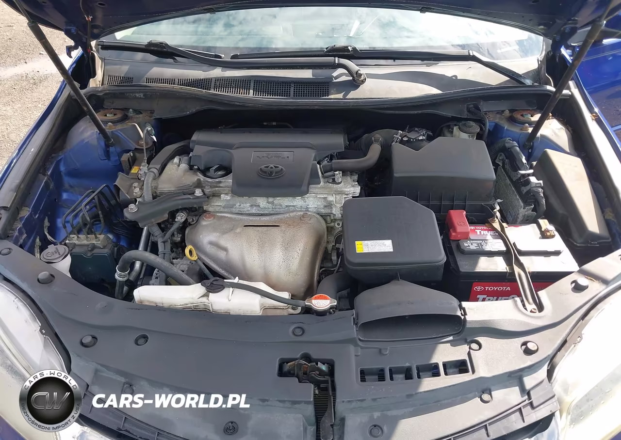 2016 Toyota Camry Se VIN:4T1BF1FK9GU523179 - 10