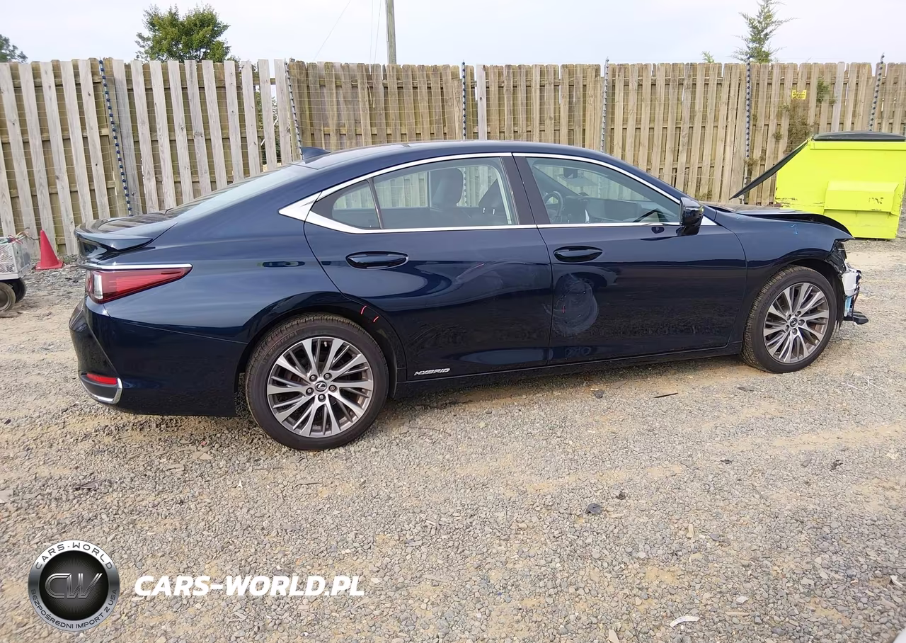 2019 Lexus Es 300H VIN:58AB21B19KU001596 - 14
