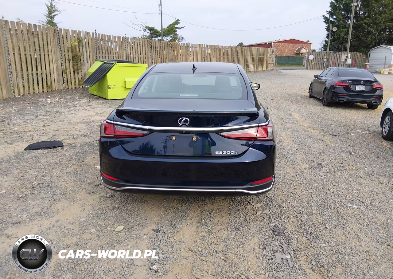 2019 Lexus Es 300H VIN:58AB21B19KU001596 - 17