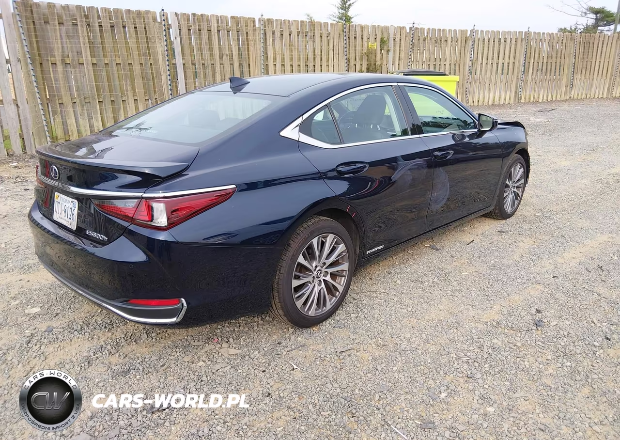 2019 Lexus Es 300H VIN:58AB21B19KU001596 - 4