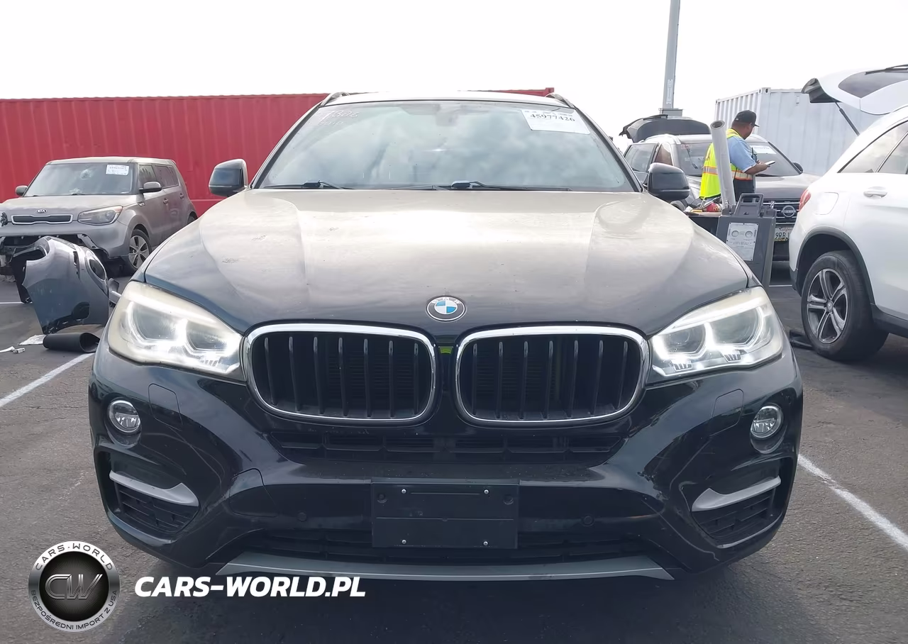2016 BMW X6 xDrive35I VIN:5UXKU2C52G0N78819 - 13