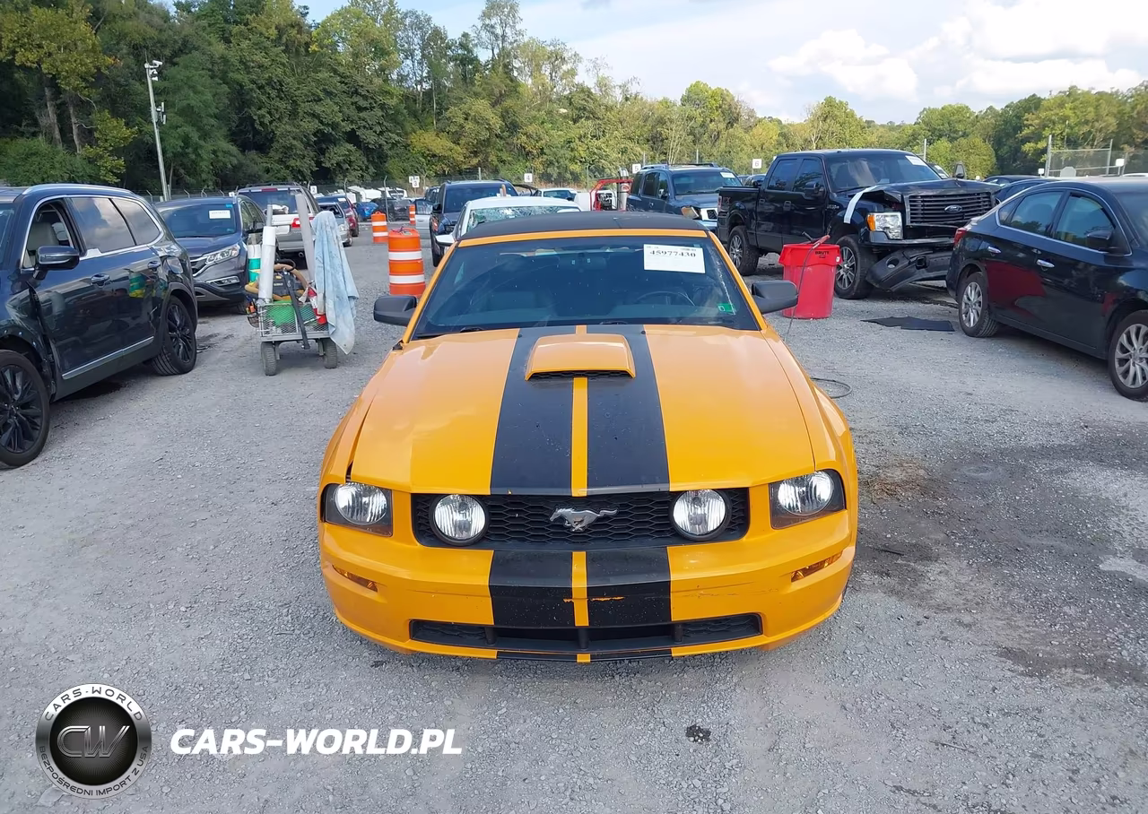 2007 Ford Mustang Gt Deluxe-Gt Premium VIN:1ZVHT85H175237842 - 12