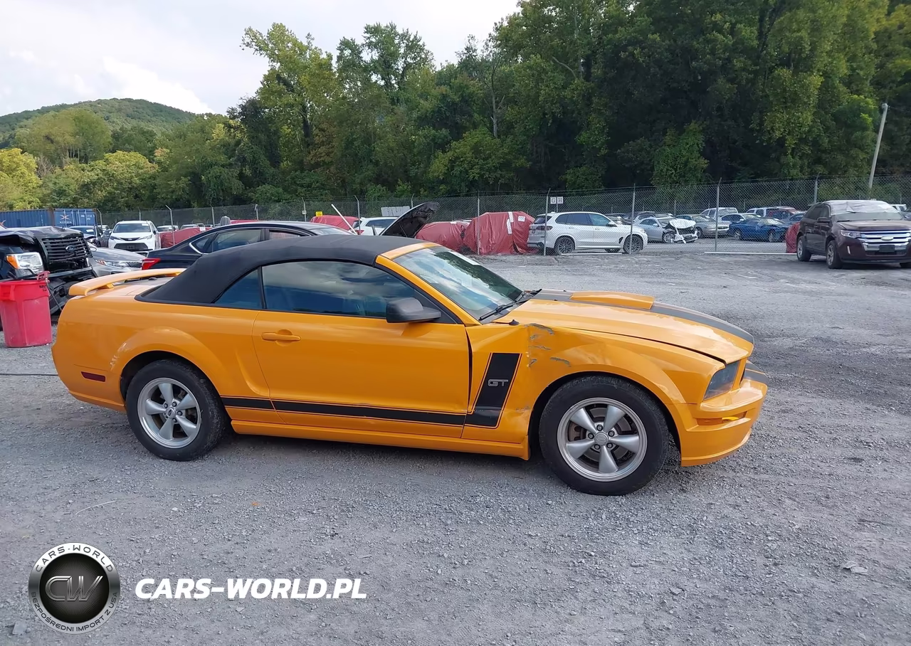 2007 Ford Mustang Gt Deluxe-Gt Premium VIN:1ZVHT85H175237842 - 13