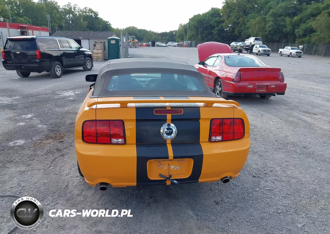 2007 Ford Mustang Gt Deluxe-Gt Premium VIN:1ZVHT85H175237842 - 16