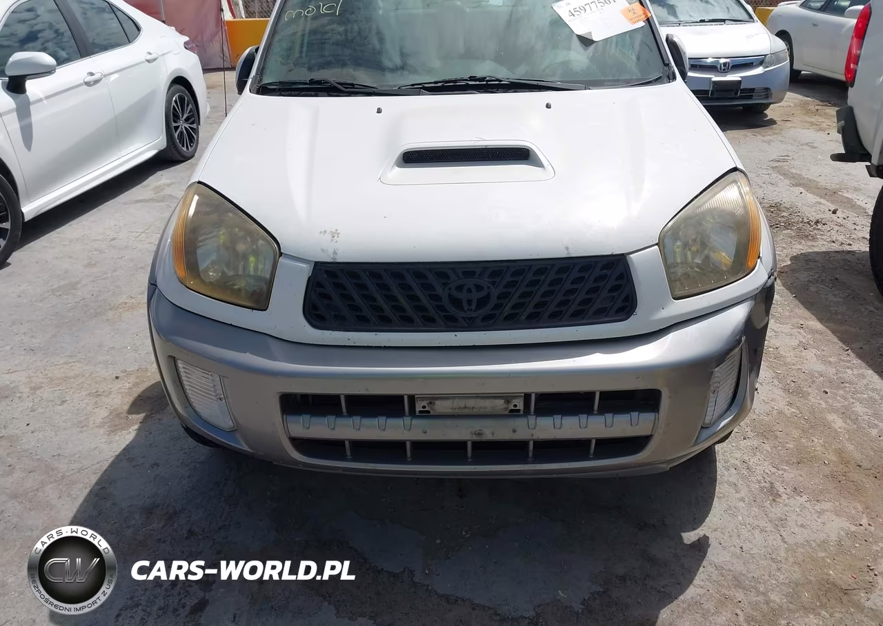 2003 Toyota Rav4 VIN:JTEGH20V430118731 - 12