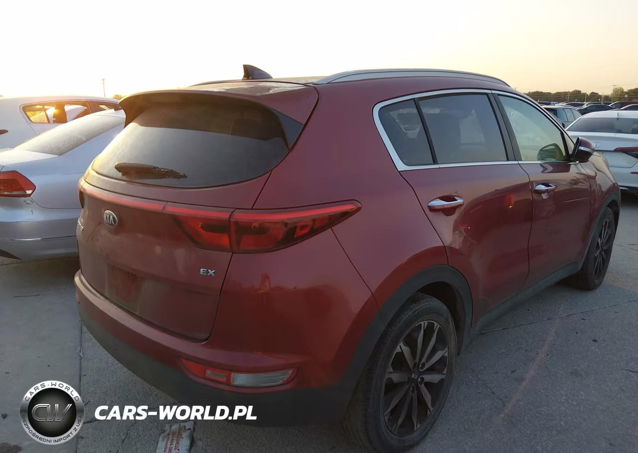 2017 Kia Sportage Ex VIN:KNDPN3AC5H7105159 - 4