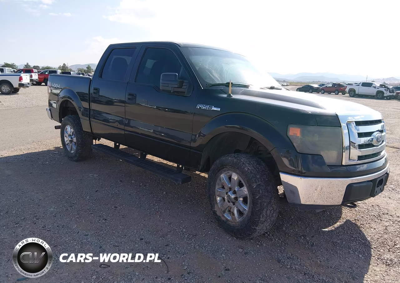 2010 Ford F-150 Xlt