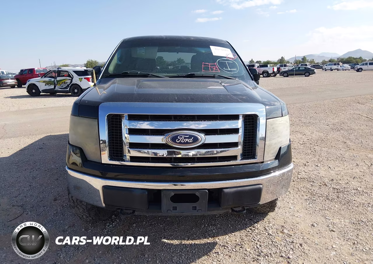 2010 Ford F-150 Xlt VIN:1FTEW1E89AFC05159 - 12