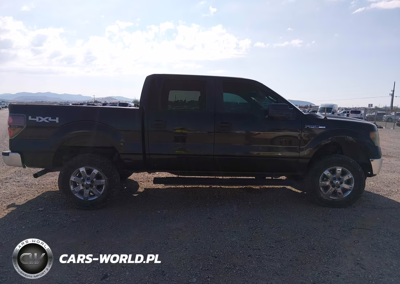 2010 Ford F-150 Xlt VIN:1FTEW1E89AFC05159 - 13