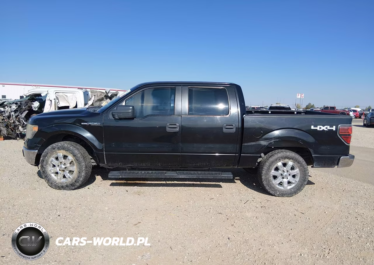 2010 Ford F-150 Xlt VIN:1FTEW1E89AFC05159 - 14